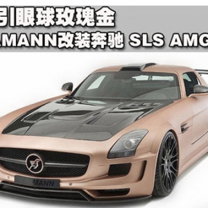 HAMANNbYSLS AMG